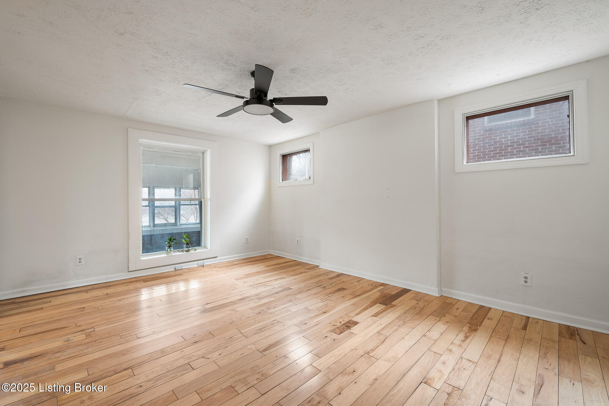 420 E Oak St, Louisville, Kentucky image 7