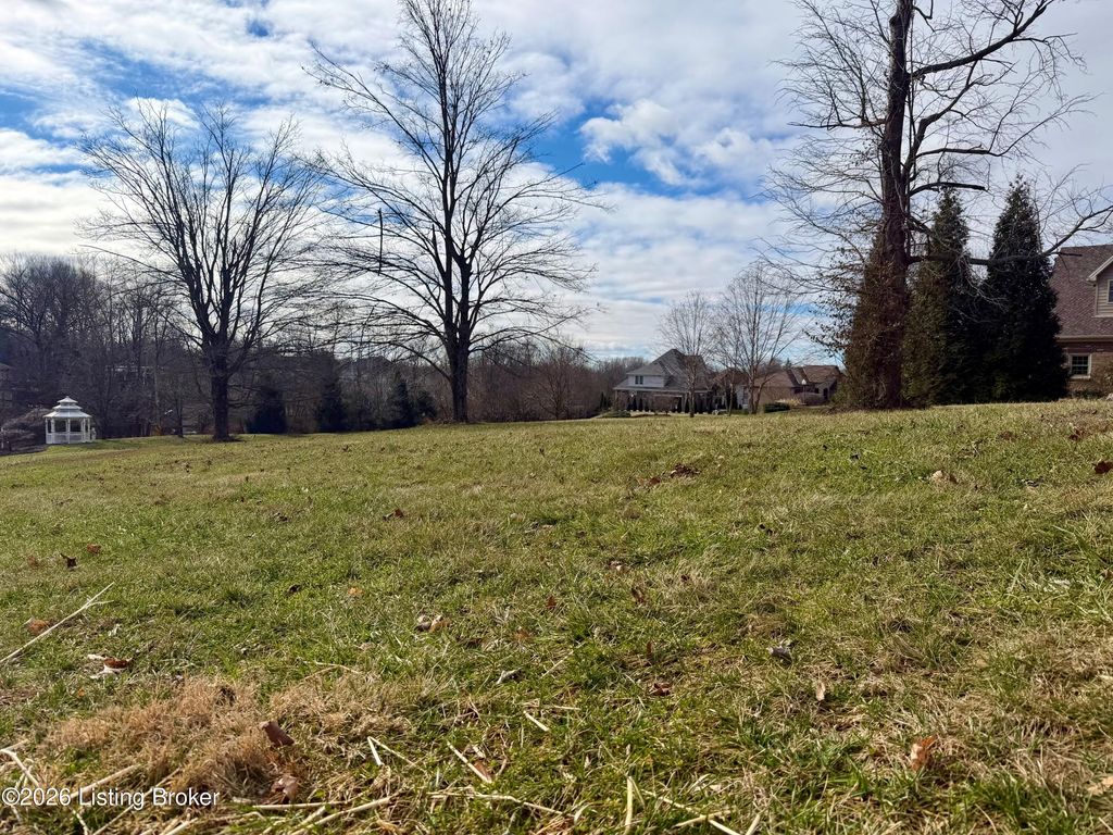 Photo of 9807 Southern Breeze Ln, Louisville, KY 40299 (MLS # 1707202)