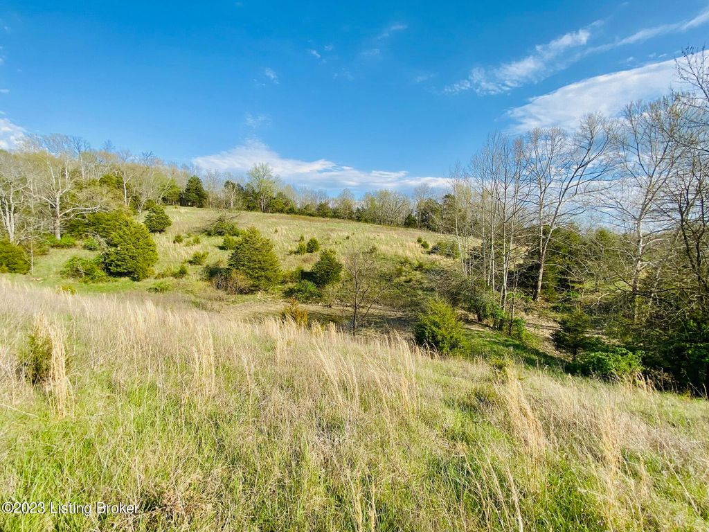 Photo of 2050-A East Fork Rd, Harrodsburg, KY 40330 (MLS # 1713243)