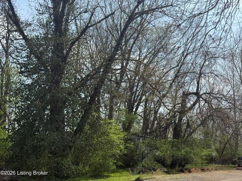 Vacant Land For Sale - LOT 27 W Triangle Ln<br/> Jefferson County, Louisville, KY 40229