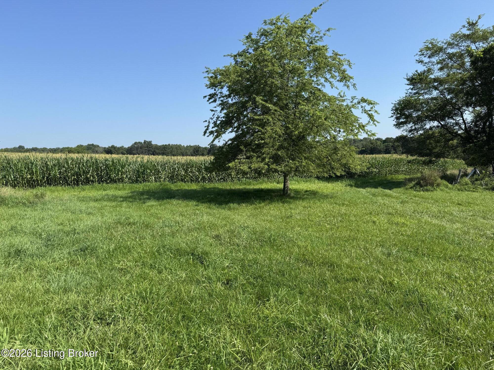 Photo 1 of 5 — 985 Hilton Mill Rd, Leitchfield, KY 42754