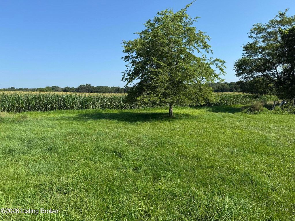 Photo of 985 Hilton Mill Rd, Leitchfield, KY 42754 (MLS # 1722327)