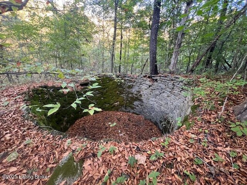 Photo of 1711 Long Branch Fork Rd, Turners Station, KY 40075 (MLS # 1700144)