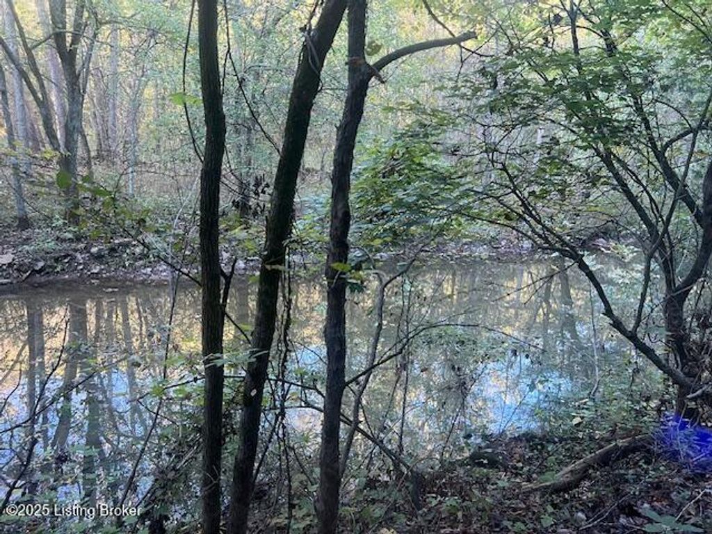Photo of 1711 Long Branch Fork Rd, Turners Station, KY 40075 (MLS # 1700144)