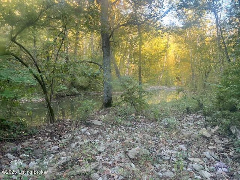 Photo of 1711 Long Branch Fork Rd, Turners Station, KY 40075 (MLS # 1700144)
