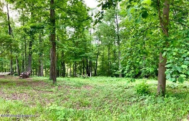 Lot 58 Lake Forest Shores, Westview, Kentucky image 2