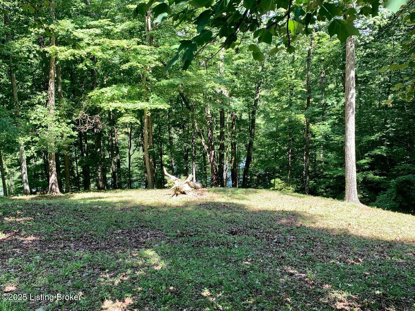 Lot 58 Lake Forest Shores, Westview, Kentucky image 4