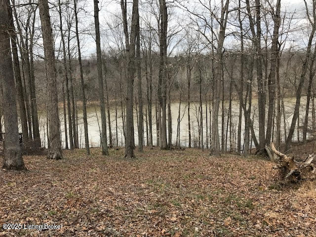 Lot 58 Lake Forest Shores, Westview, Kentucky image 8