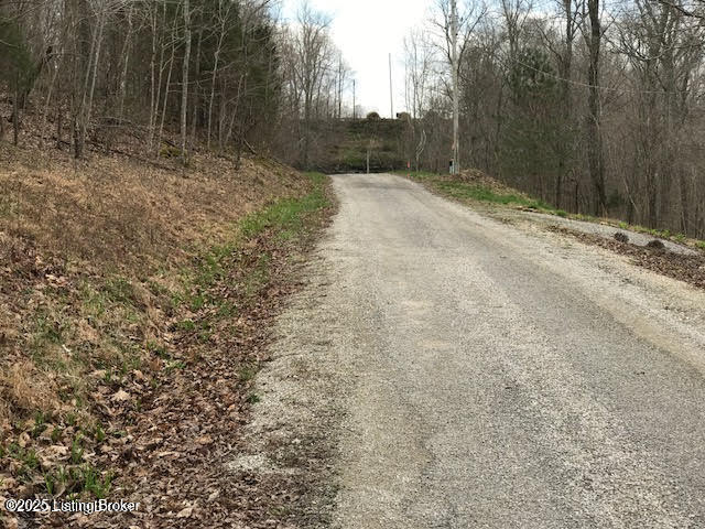 Lot 58 Lake Forest Shores, Westview, Kentucky image 5