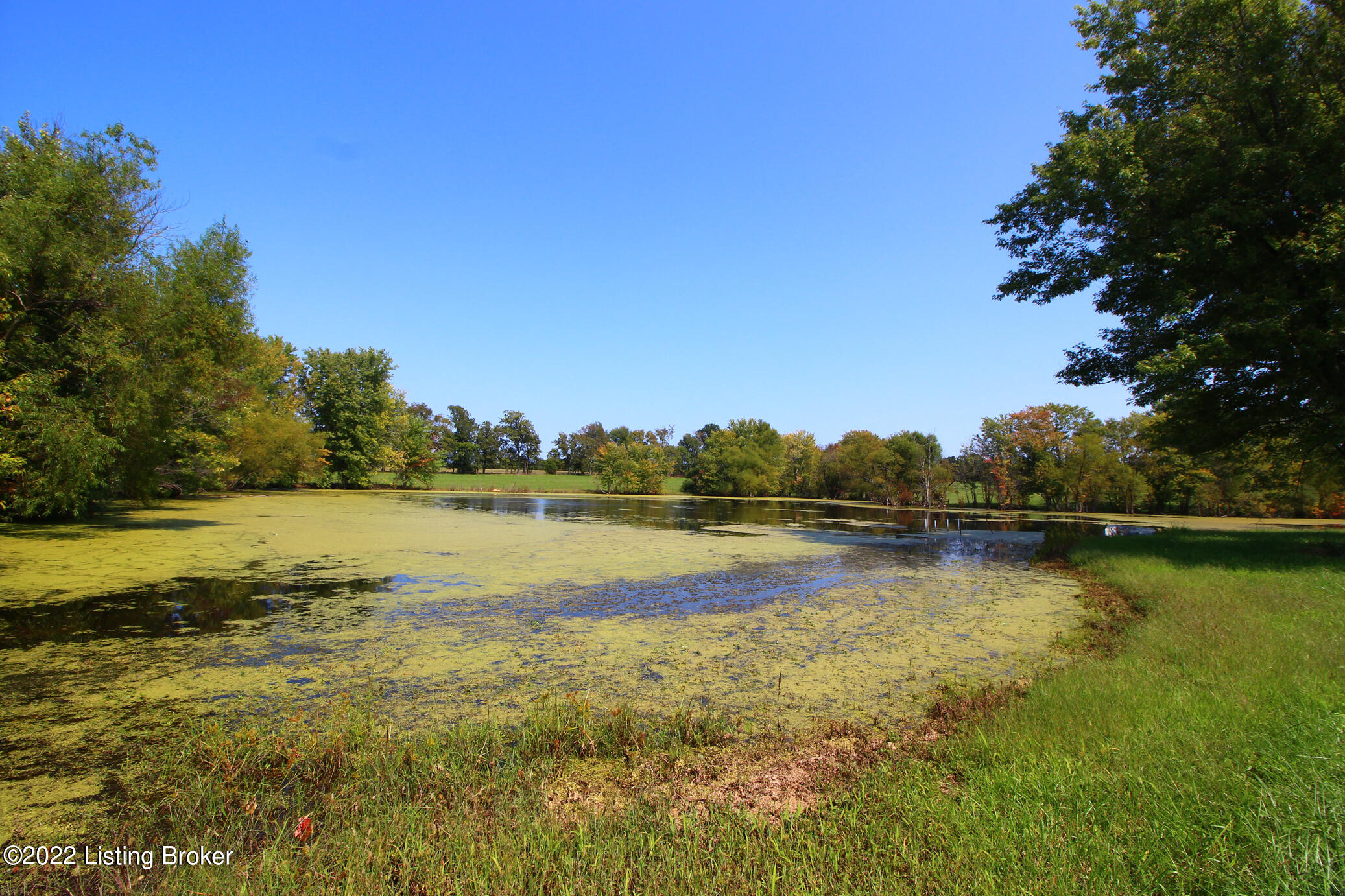 300 Flood Rd, Shelbyville, Kentucky image 5