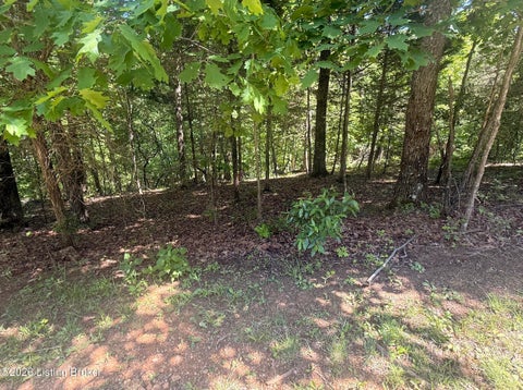 Vacant Land For Sale - LOT 811 Trillium Ct<br/> Brandenburg, KY 40108
