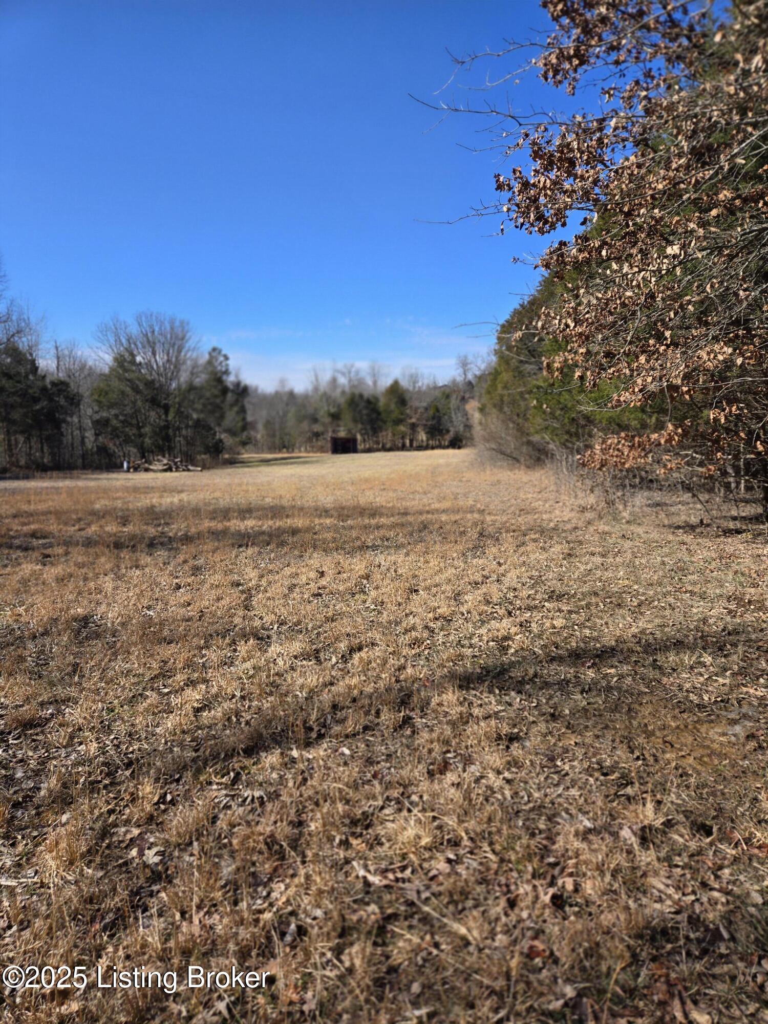 1219 Haynes Cemetery Ln, Irvington, Kentucky image 34