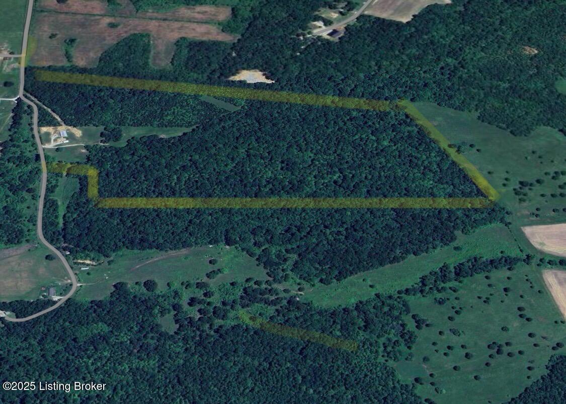 1219 Haynes Cemetery Ln, Irvington, Kentucky image 3
