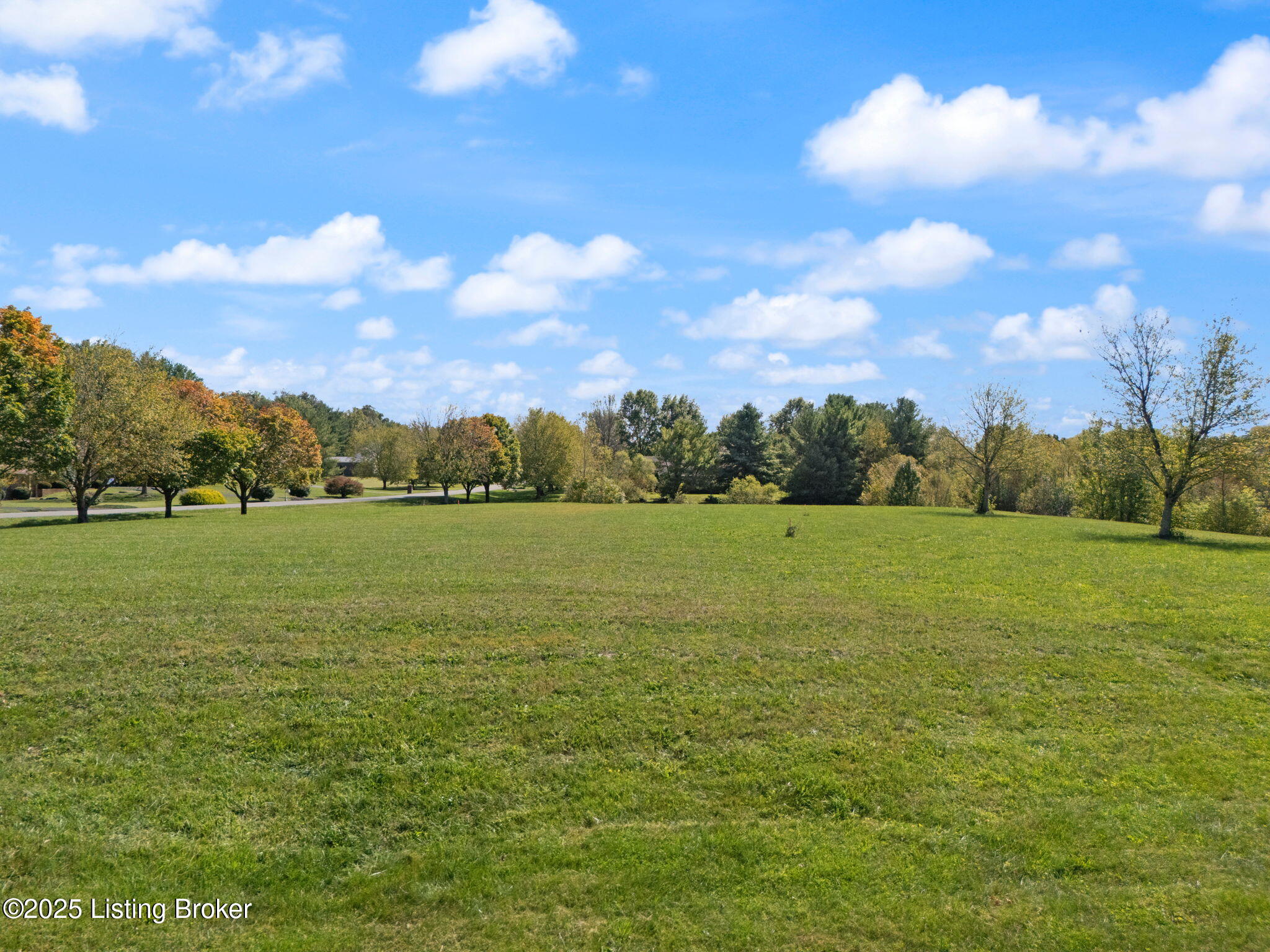 710A Hackberry Rd Rd, Cecilia, Kentucky image 2