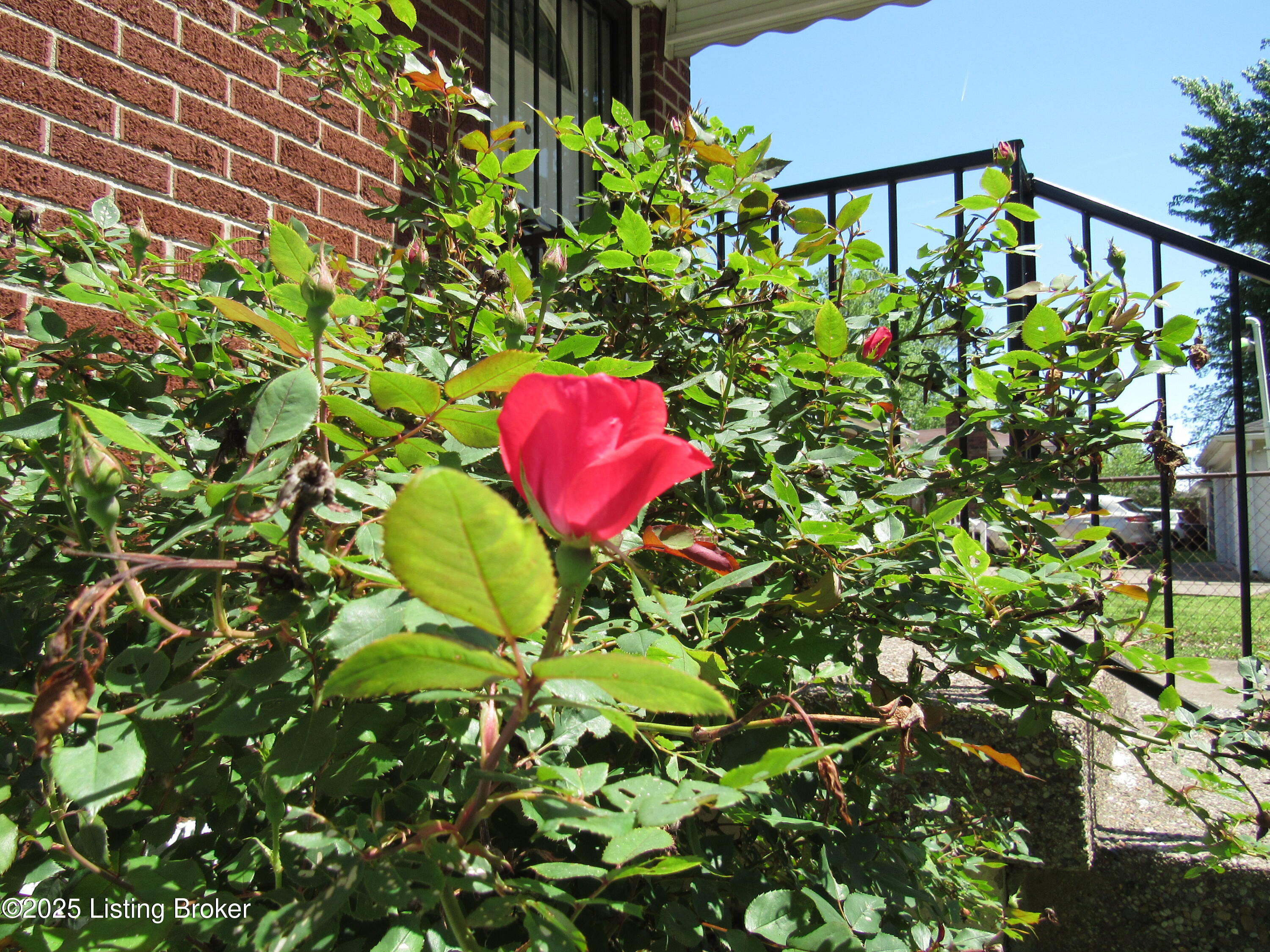 5510 Innwood Dr, Louisville, Kentucky image 34