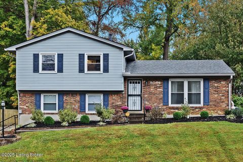 Photo of 8001 Mary Sue Dr, Louisville, KY 40291 (MLS # 1702013)