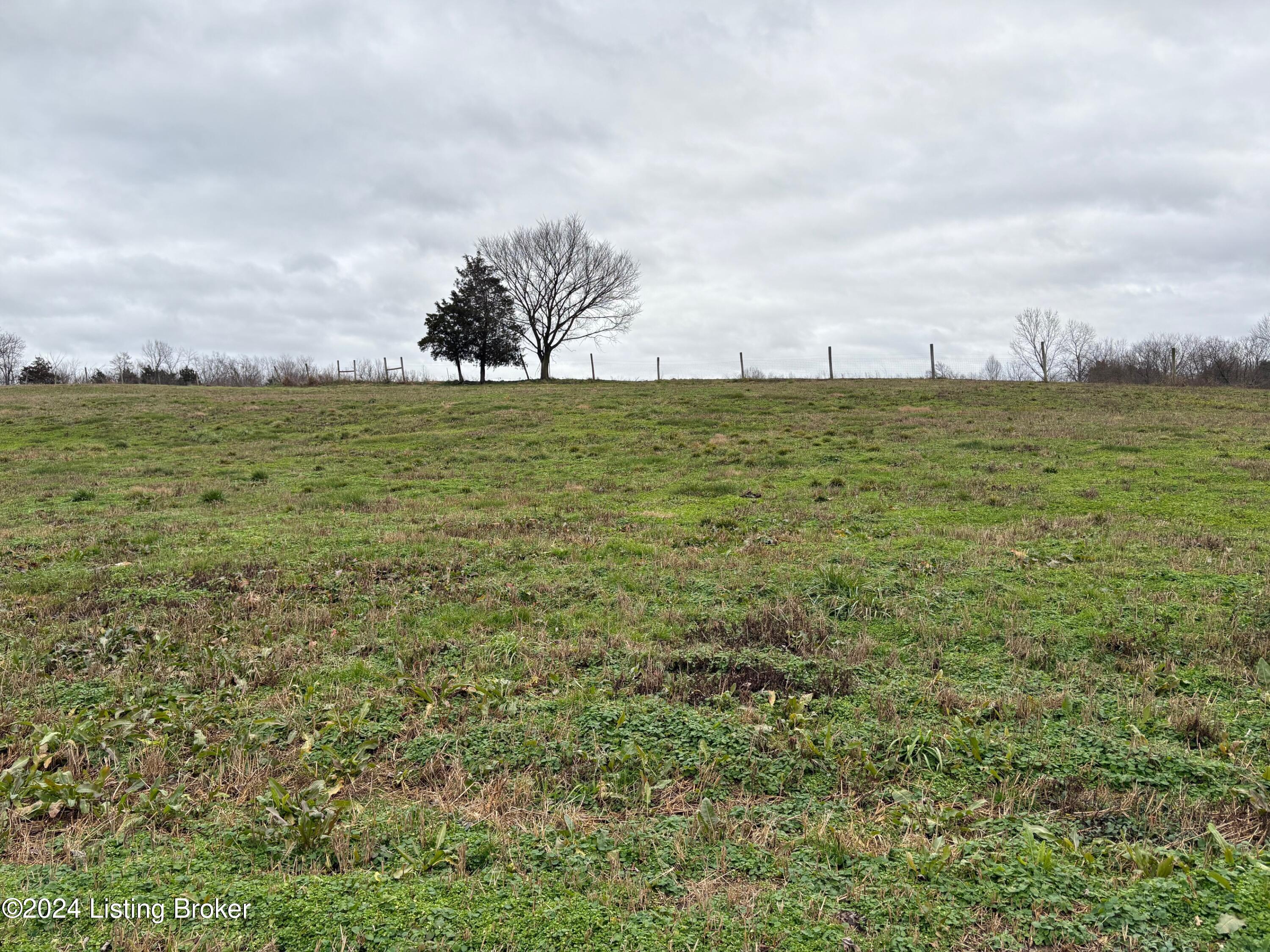 6050 Plum Run Rd, Bloomfield, Pennsylvania image 6