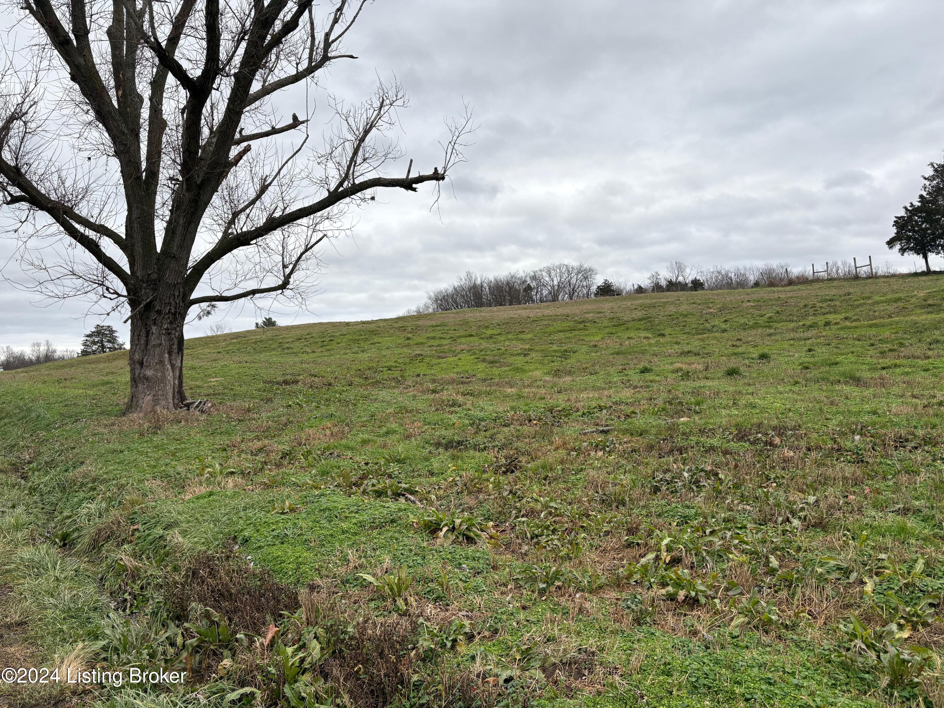 6050 Plum Run Rd, Bloomfield, Pennsylvania image 3