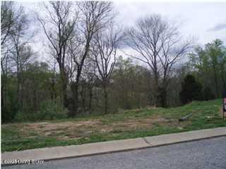 Vacant Land For Sale - 1321 Nightingale Ln<br/> Oldham County, Goshen, KY 40026