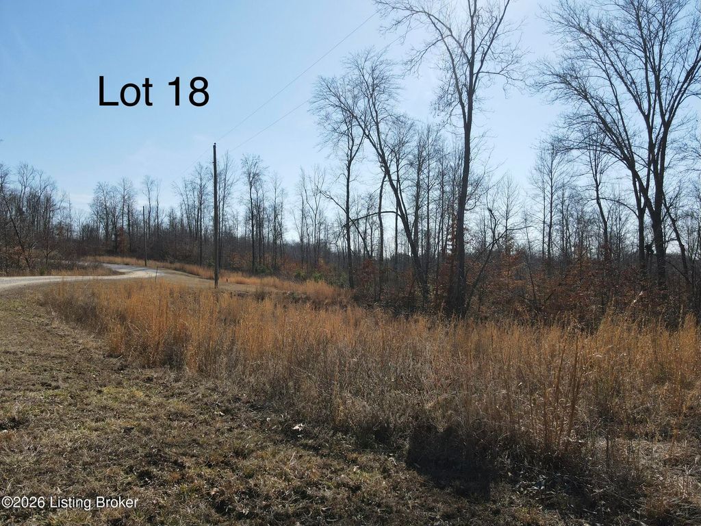 Photo of 647 Gunner Rd, Clarkson, KY 42726 (MLS # 1709593)