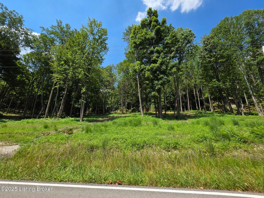 Photo of 2 Cave Creek Rd, Falls Of Rough, KY 40119 (MLS # 1707309)