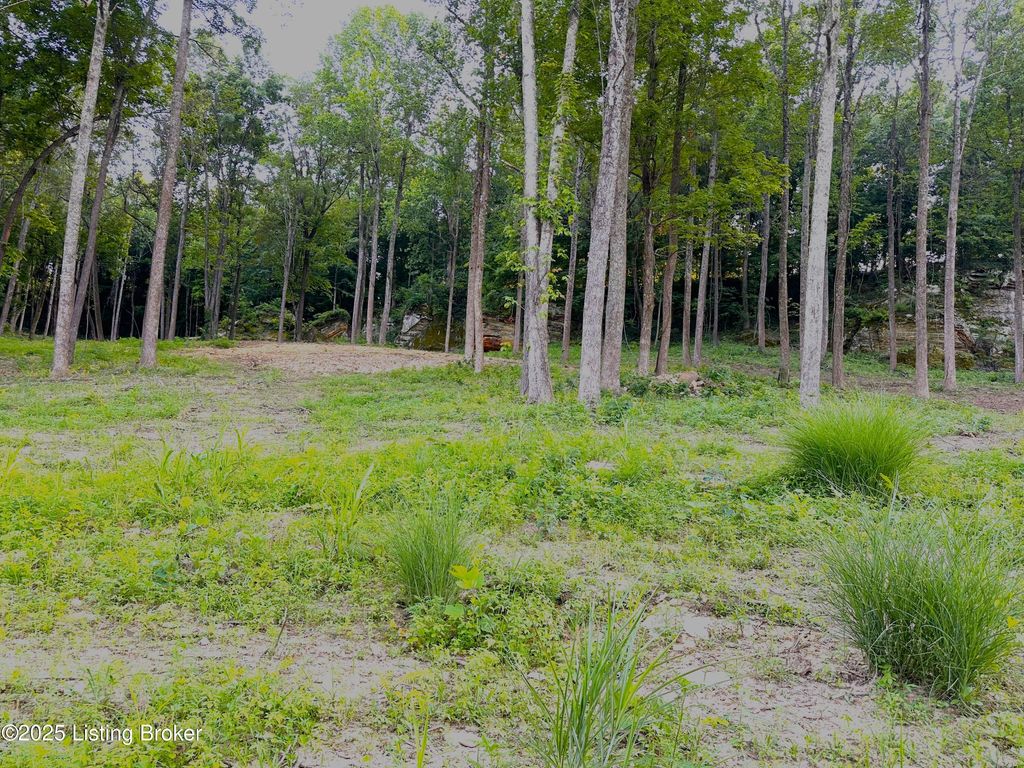 Photo of 2 Cave Creek Rd, Falls Of Rough, KY 40119 (MLS # 1707309)