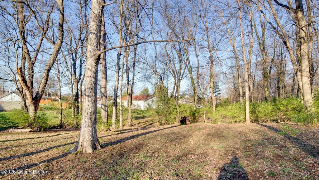Photo of 4648 Lor Ann Ave, Louisville, KY 40219 (MLS # 1711935)