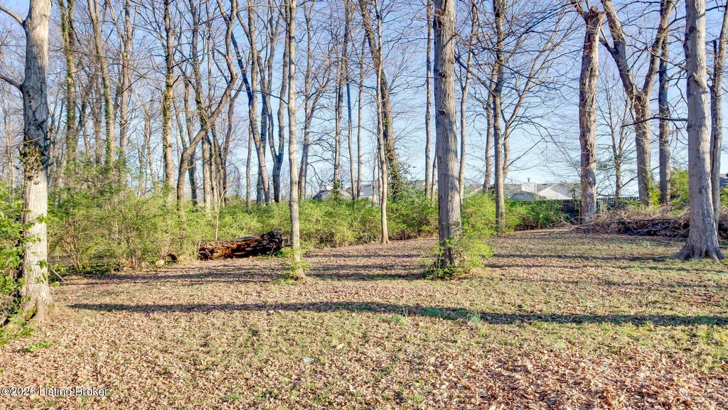 Photo of 4648 Lor Ann Ave, Louisville, KY 40219 (MLS # 1711935)