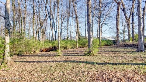 Vacant Land For Sale - 4648 Lor Ann Ave<br/> Louisville, KY 40219