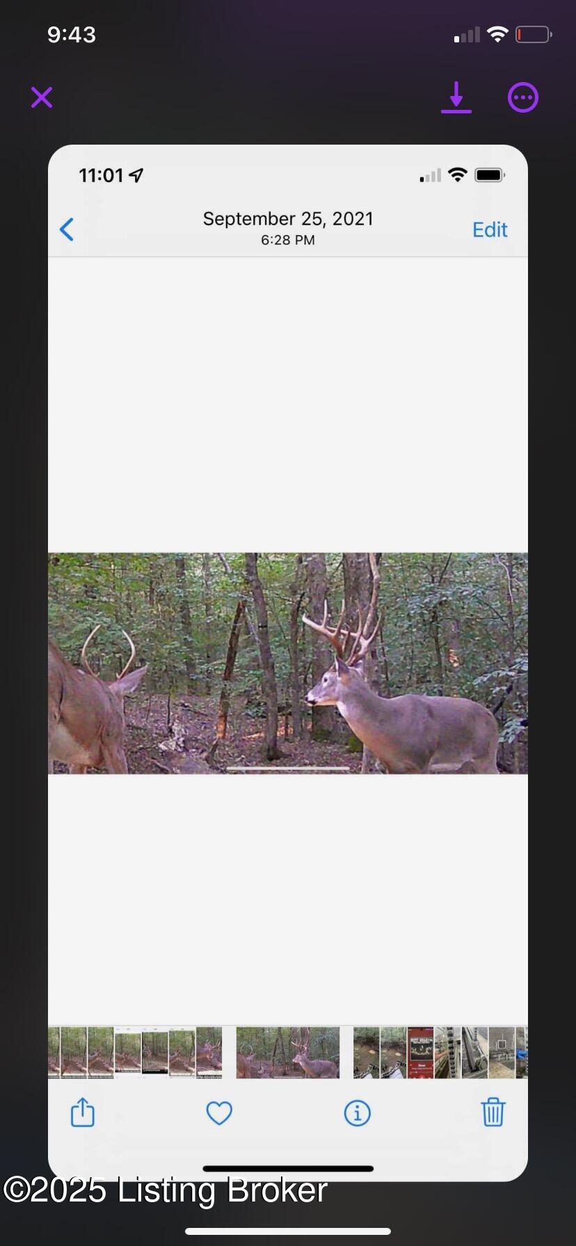 680 Mount Moriah Rd, Boston, Kentucky image 49
