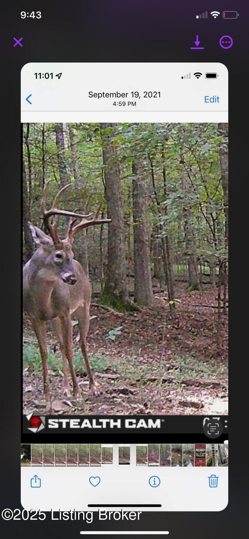 680 Mount Moriah Rd, Boston, Kentucky image 48