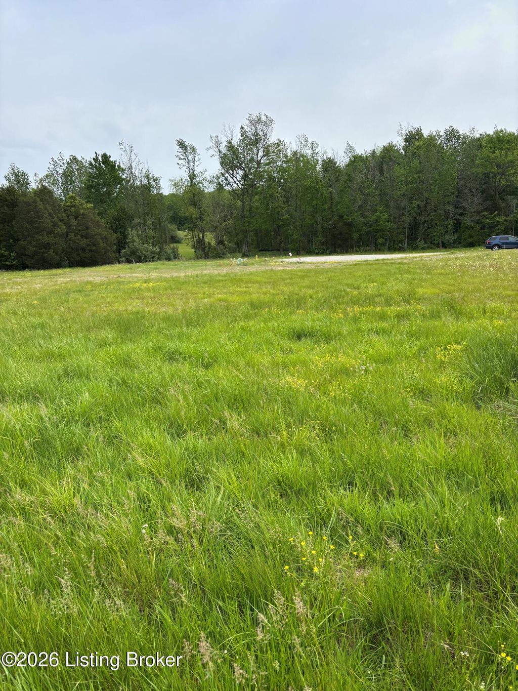 Photo of 127 Kidd Ct, Lebanon Junction, KY 40150 (MLS # 1717126)