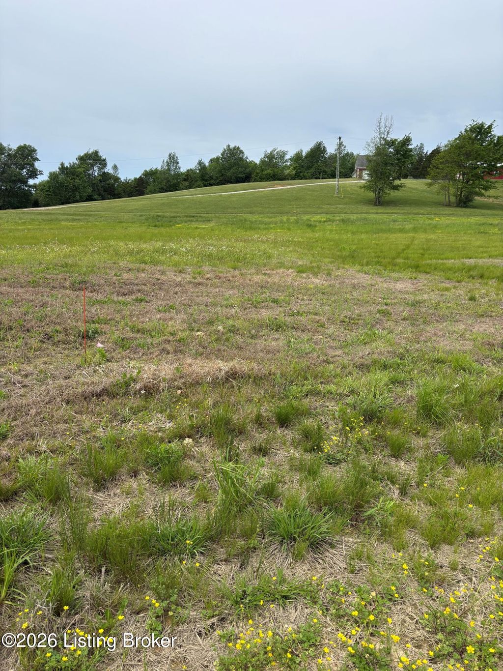Photo of 127 Kidd Ct, Lebanon Junction, KY 40150 (MLS # 1717126)
