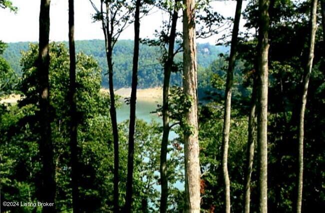90 Peninsula At Lake Cumberland Ct, Russell Springs, Kentucky image 3