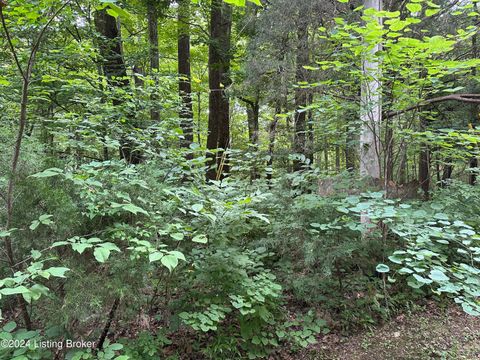 Vacant Land For Sale - 64 6566 Winesap Dr<br/> New Haven, KY 40051