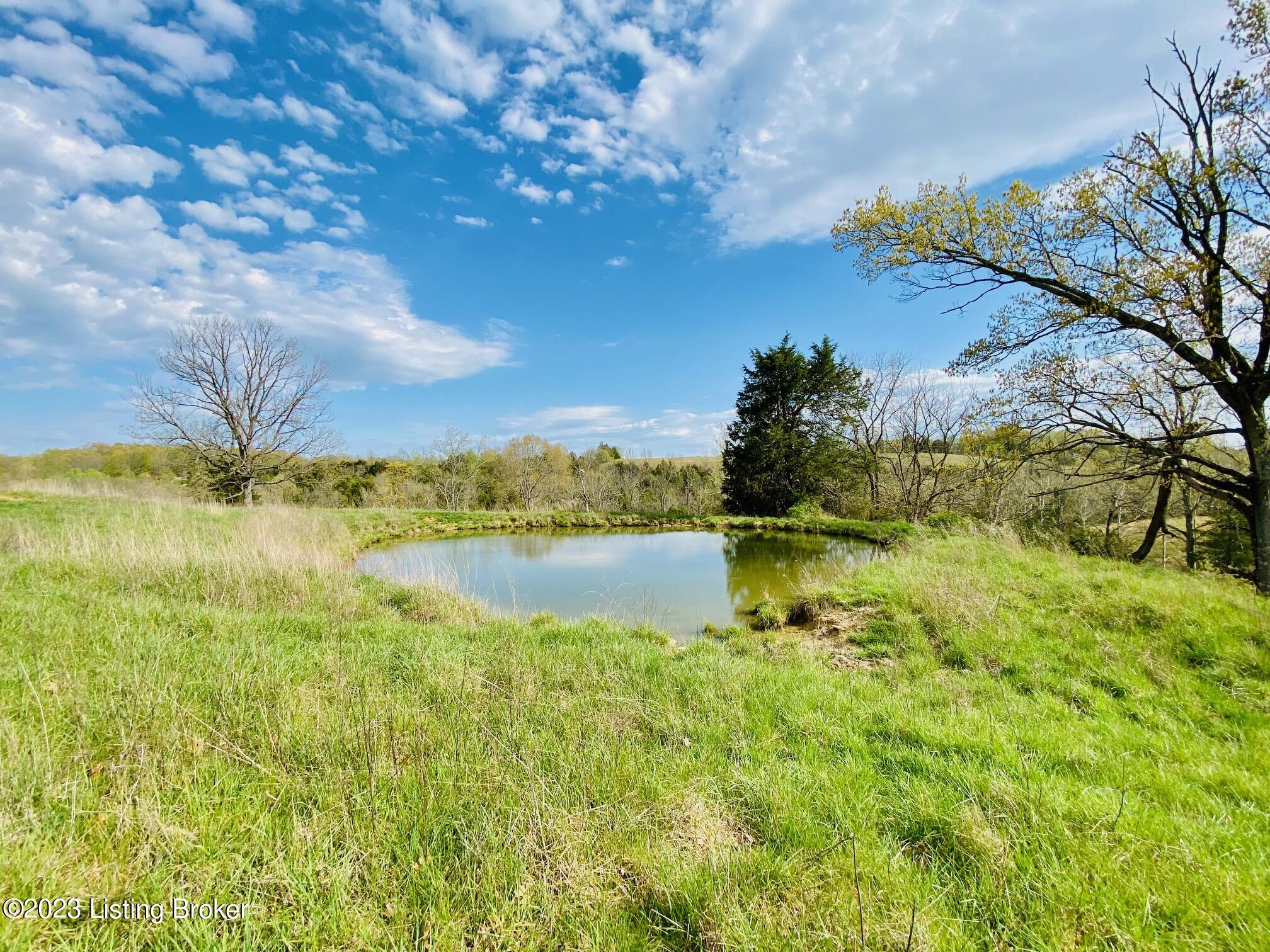 Pond