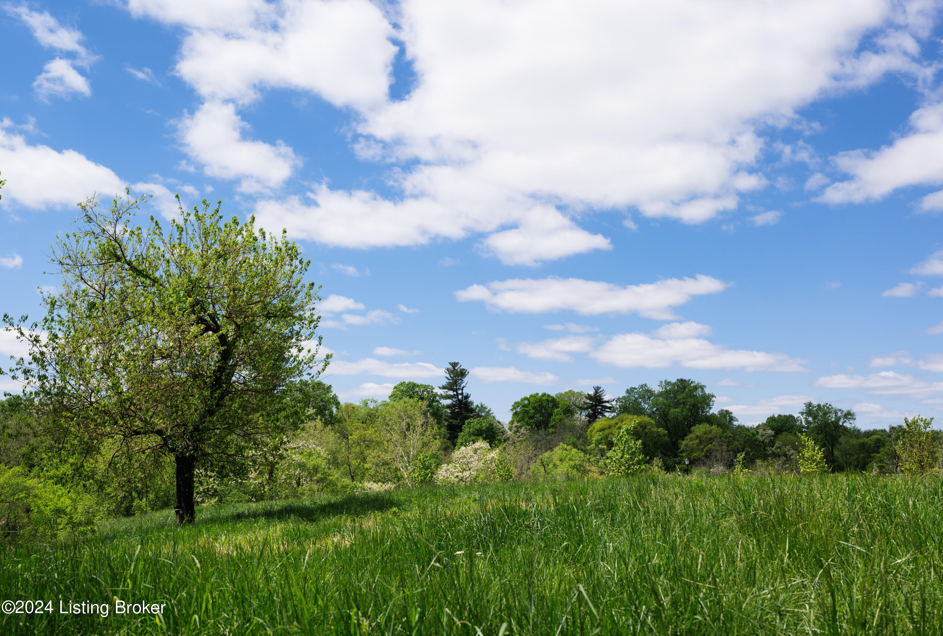 Lot 7 Poplar Hill Bluff, Louisville, Kentucky image 9