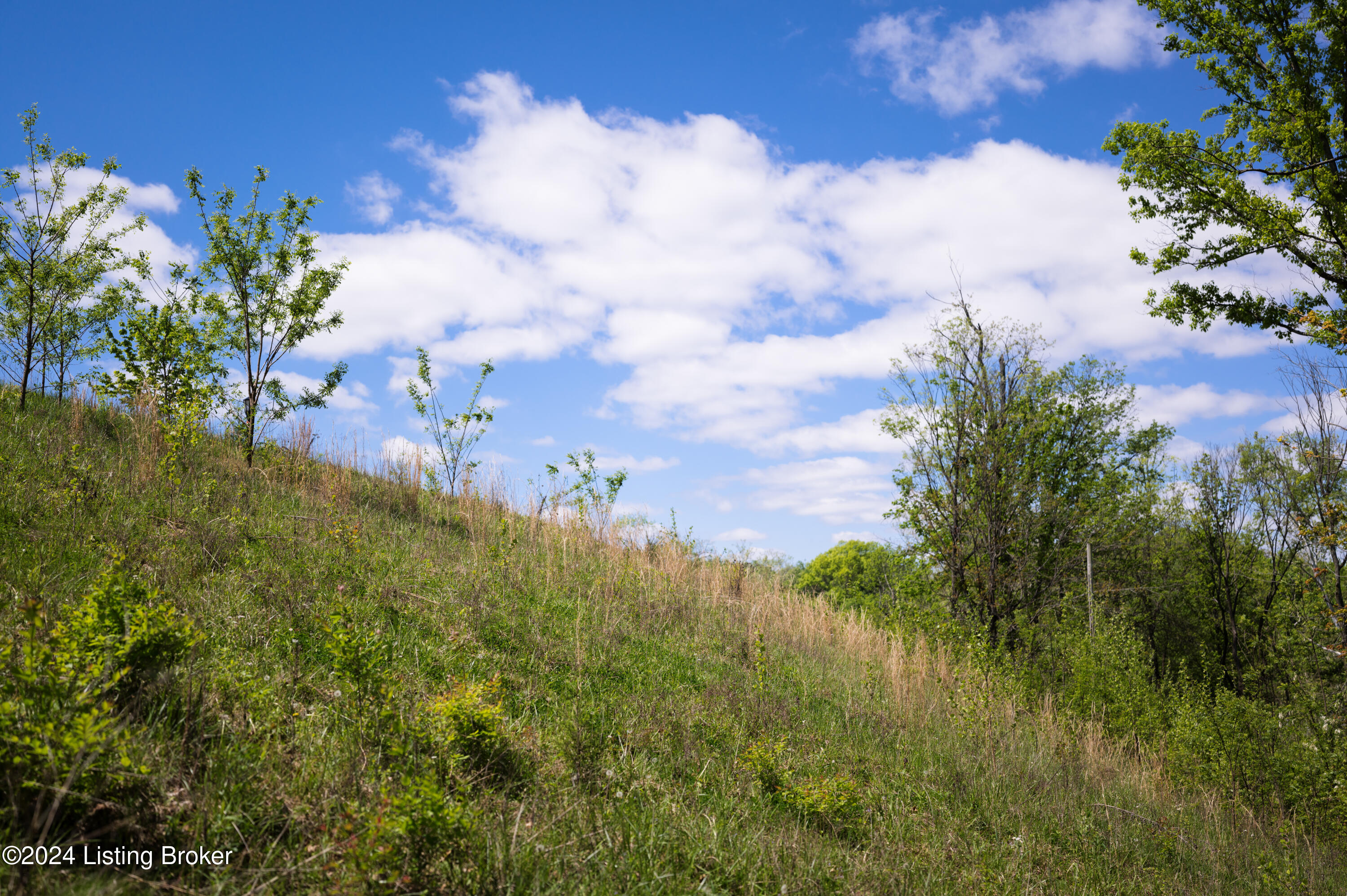 Lot 7 Poplar Hill Bluff, Louisville, Kentucky image 5