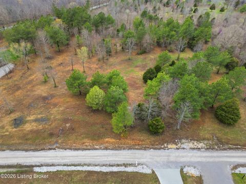 Vacant Land For Sale - LOT 1C Pine Trail<br/> Leitchfield, KY 42754