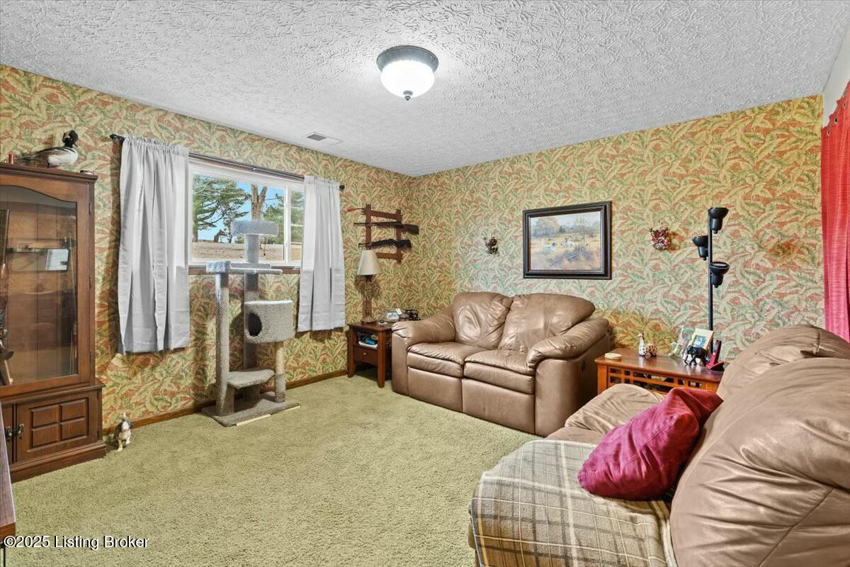 109 Creekview Ln, Rineyville, Kentucky image 23