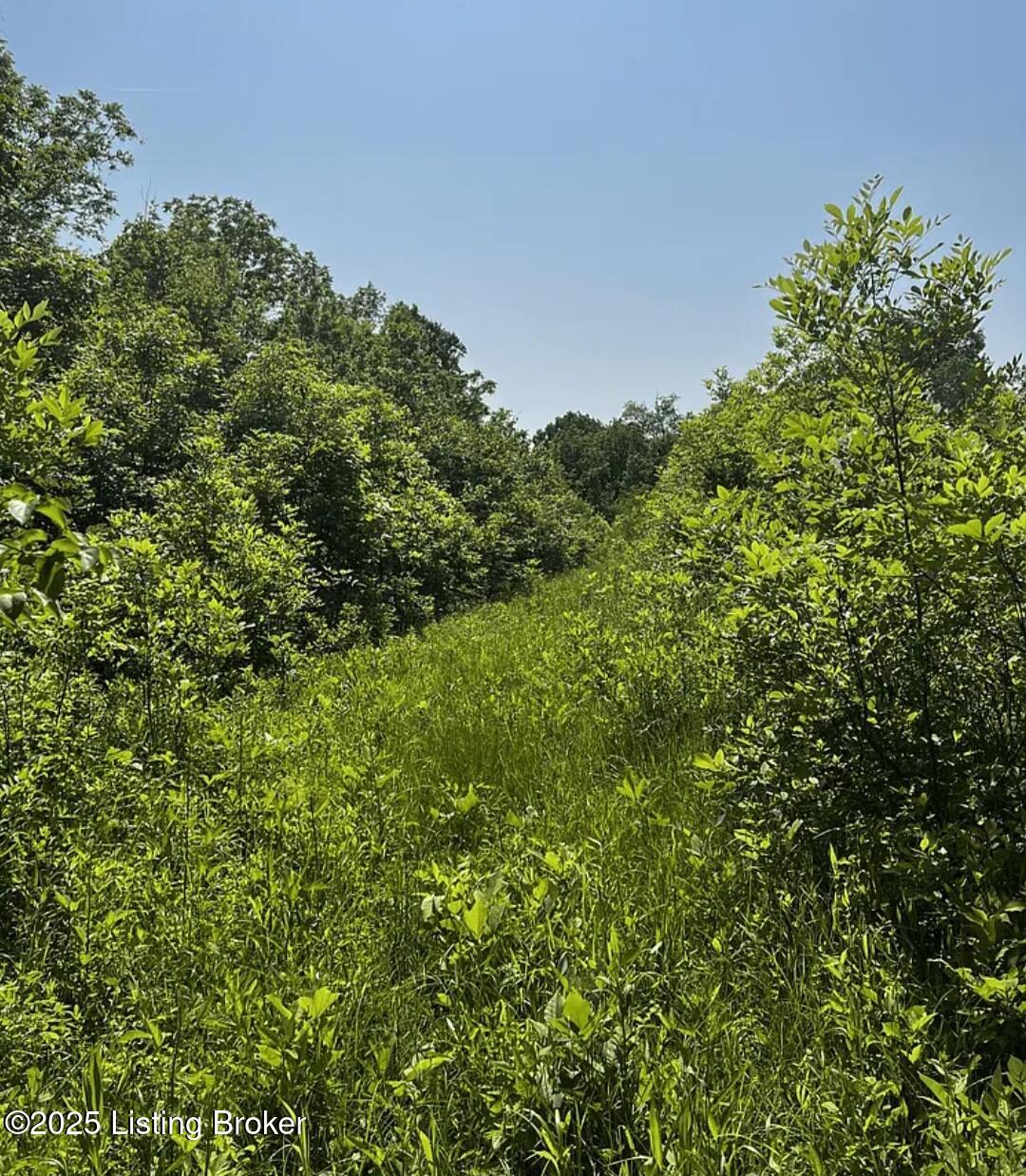 271 Long Lick Farm Rd, Shepherdsville, Pennsylvania image 1