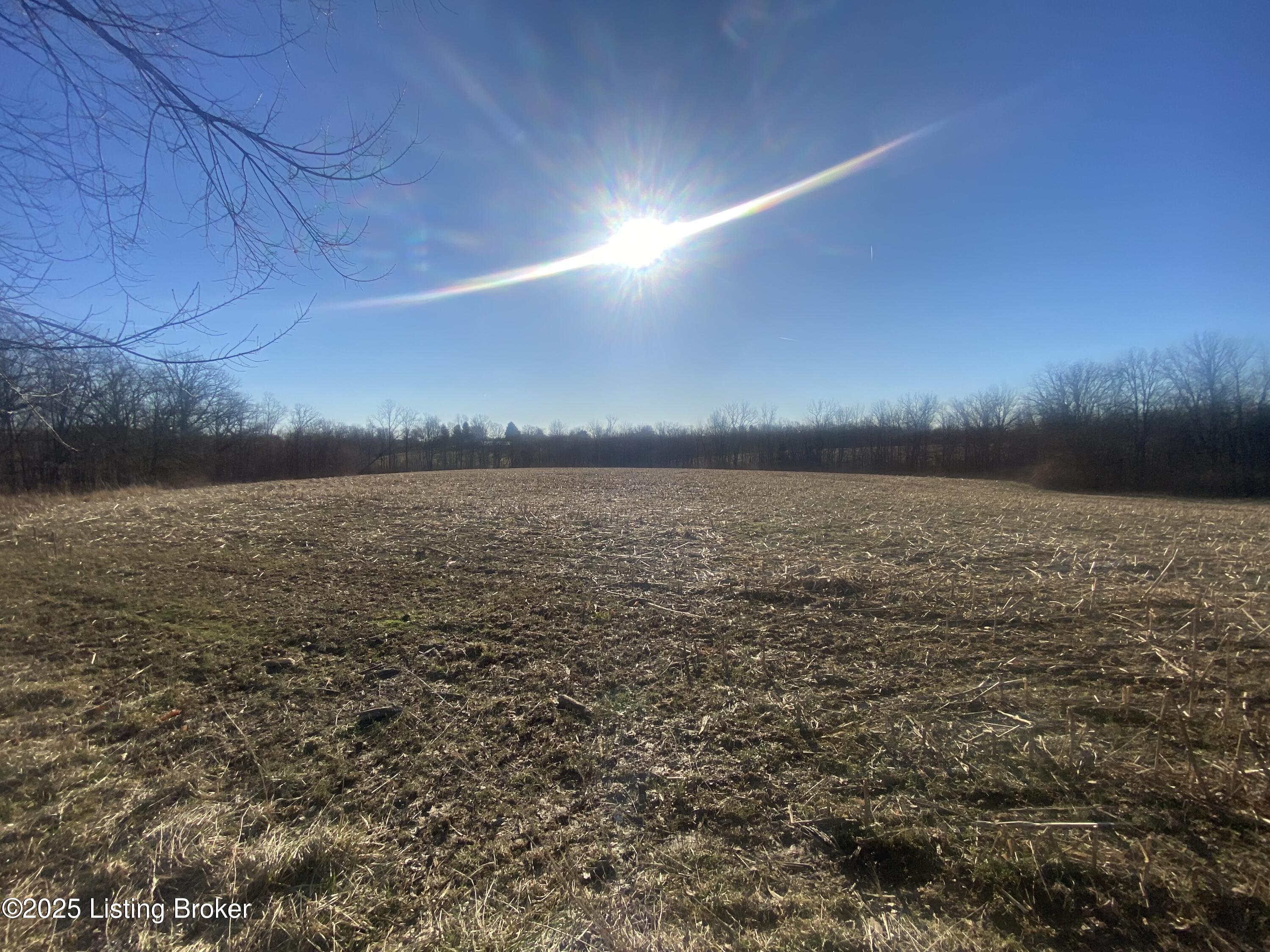 32 Beasley Ln, Sulphur, Kentucky image 14