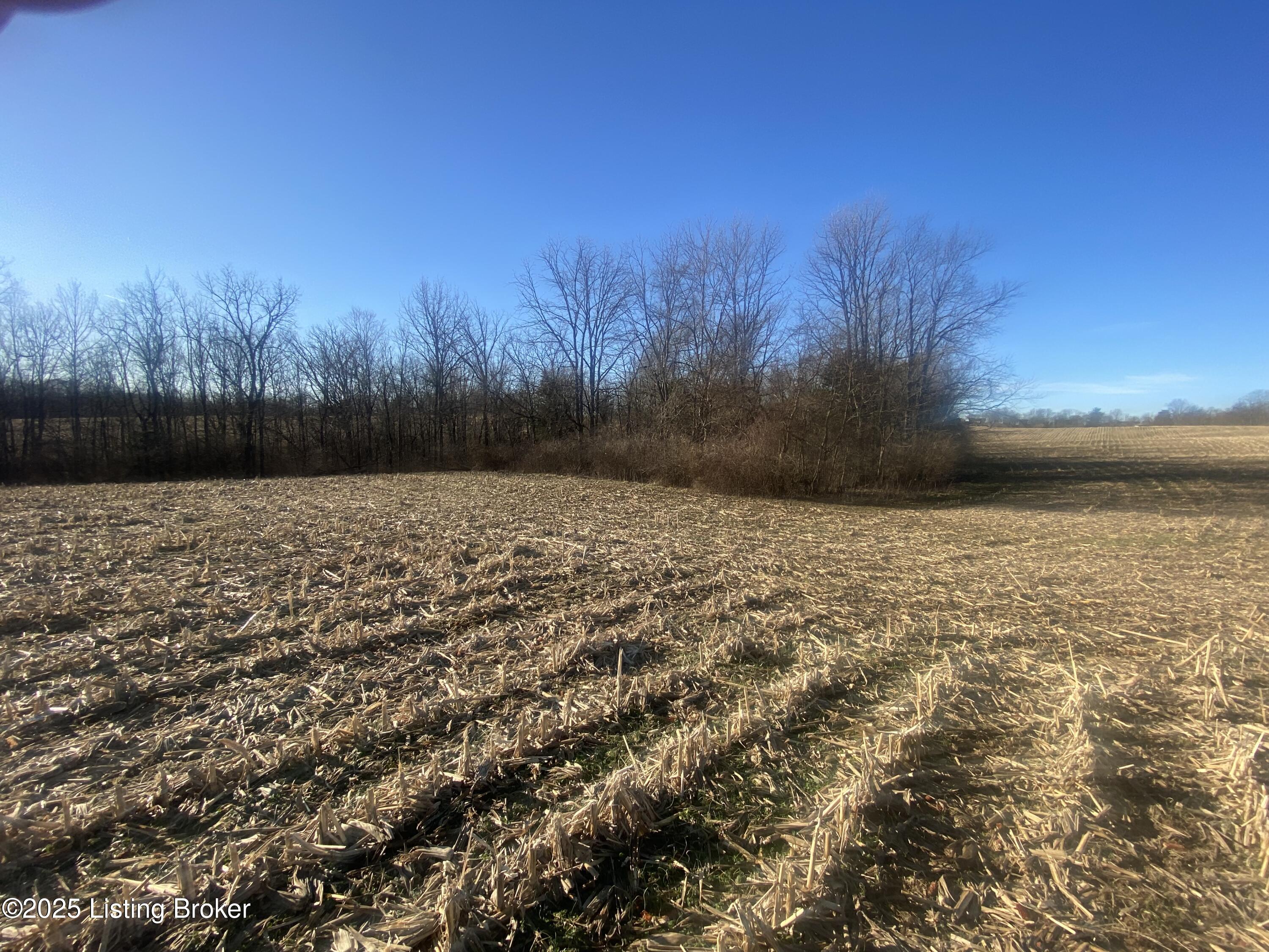 32 Beasley Ln, Sulphur, Kentucky image 16