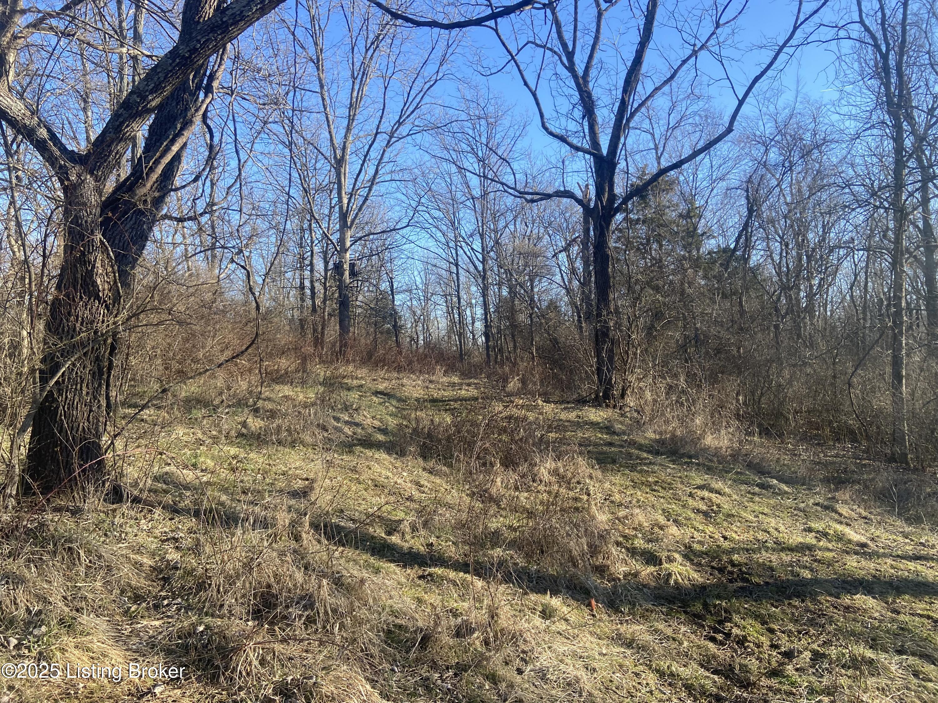 32 Beasley Ln, Sulphur, Kentucky image 19