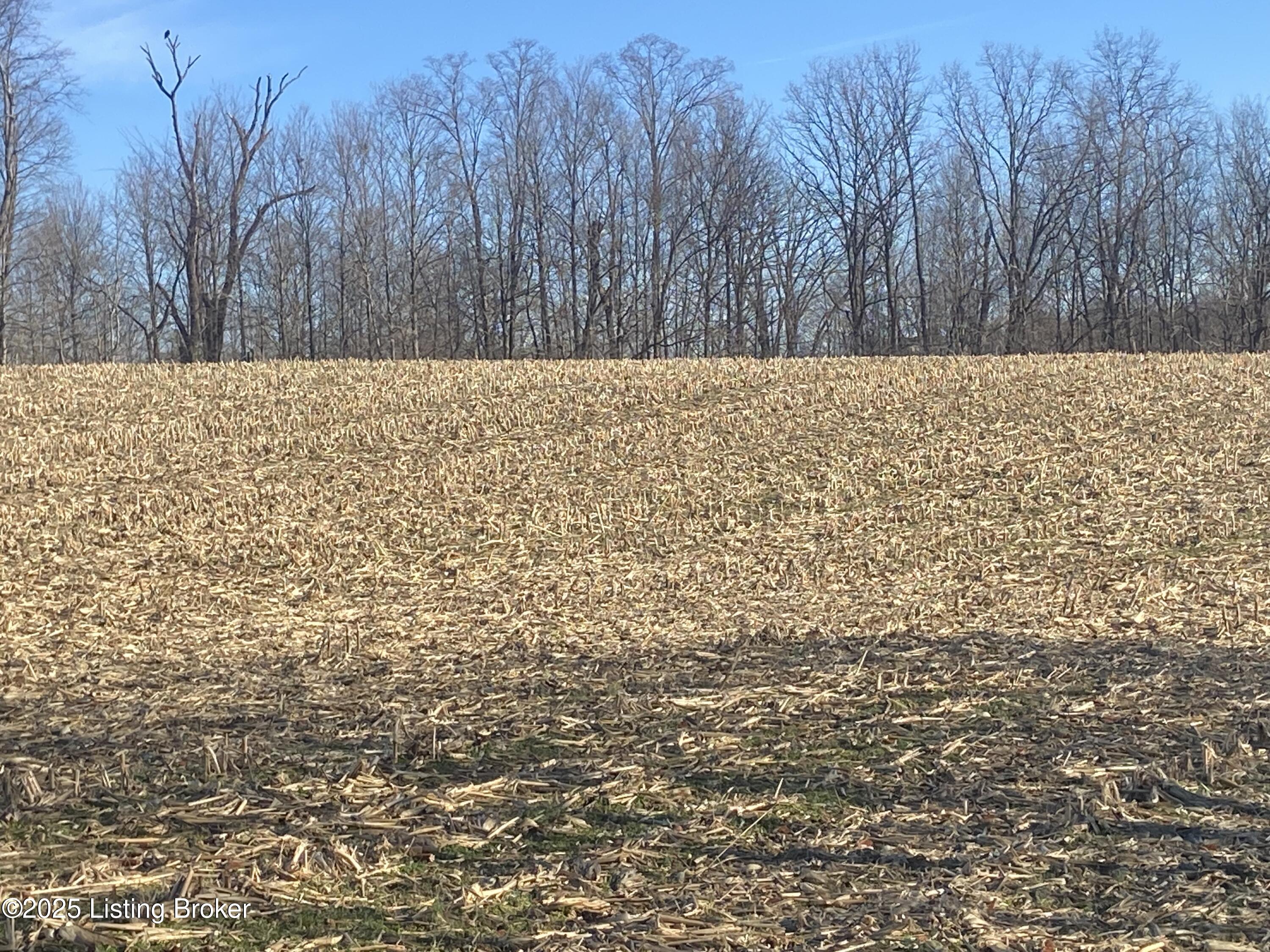 32 Beasley Ln, Sulphur, Kentucky image 18