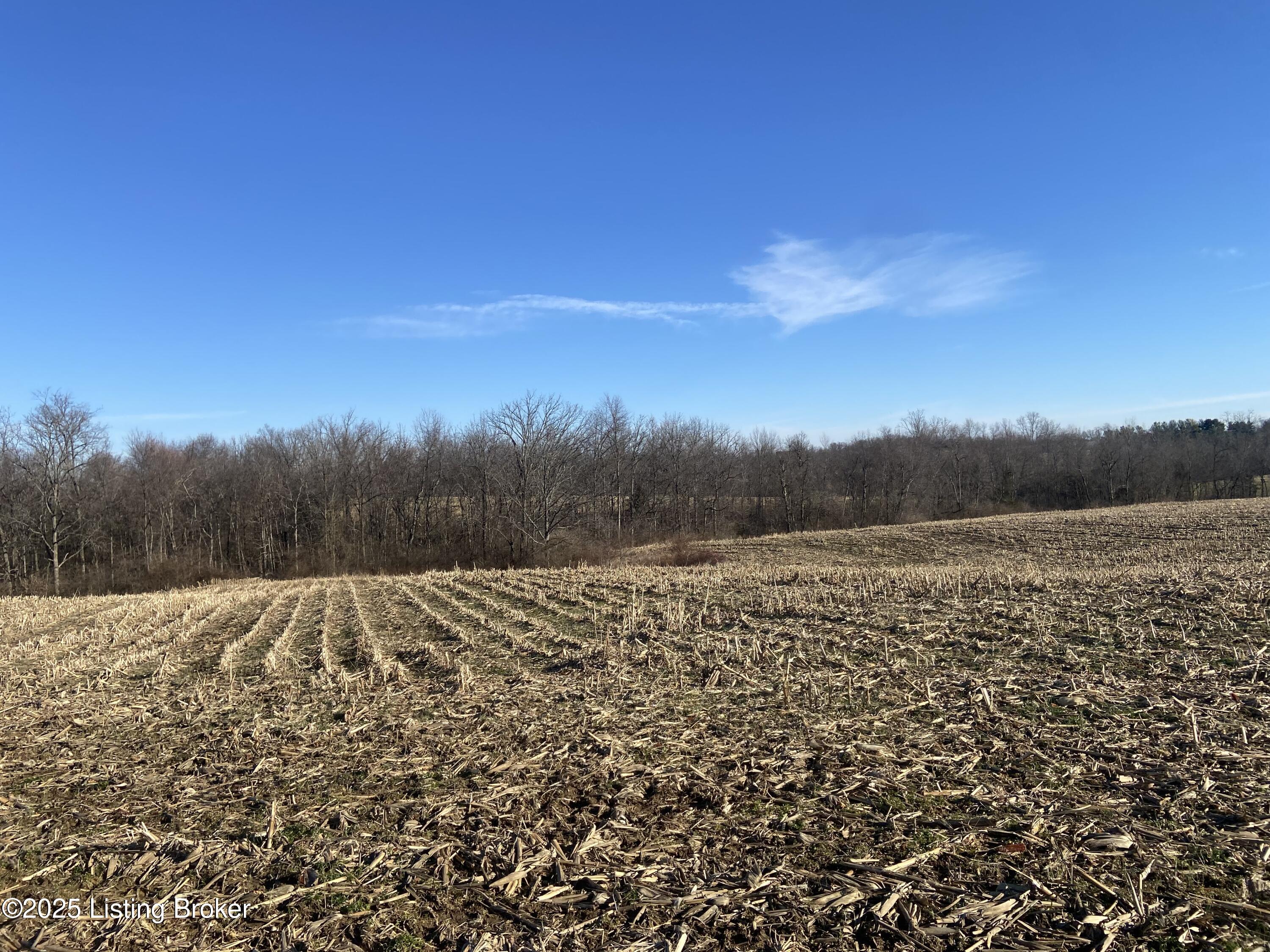 32 Beasley Ln, Sulphur, Kentucky image 2