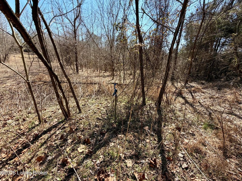 Photo of Tr 2 Shain Dr, Bardstown, KY 40004 (MLS # 1710114)