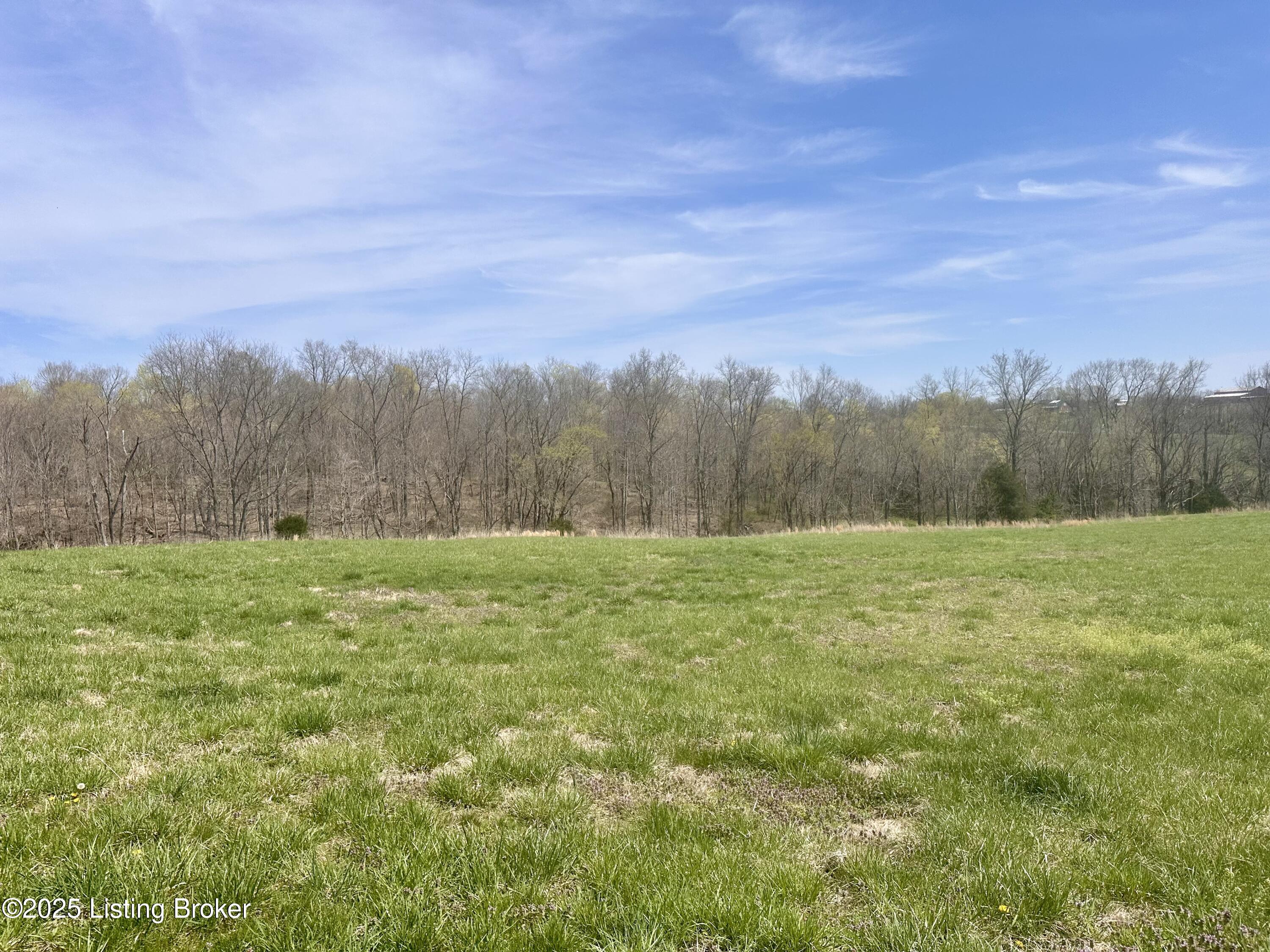 Polin Rd, Willisburg, Kentucky image 14