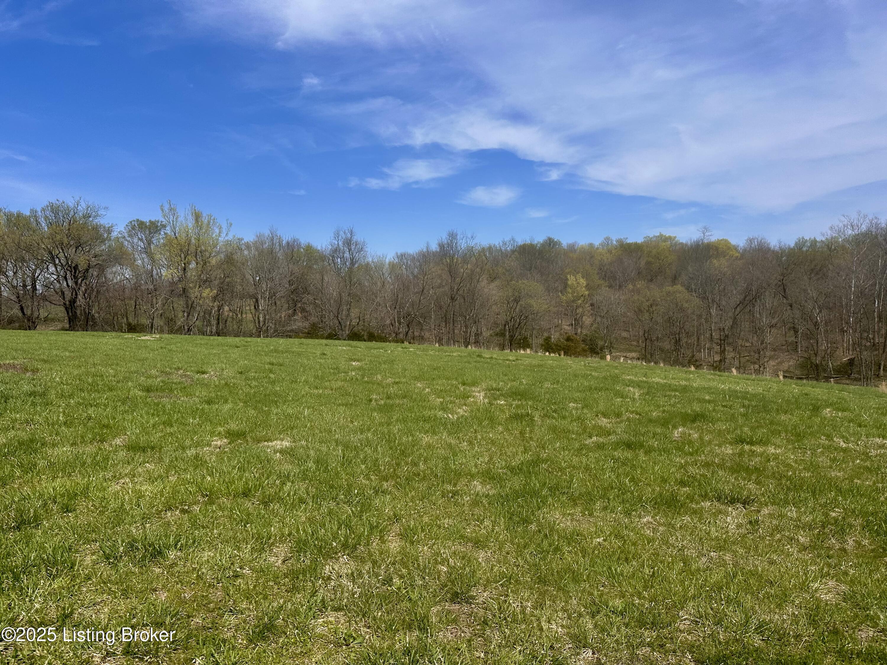 Polin Rd, Willisburg, Kentucky image 9