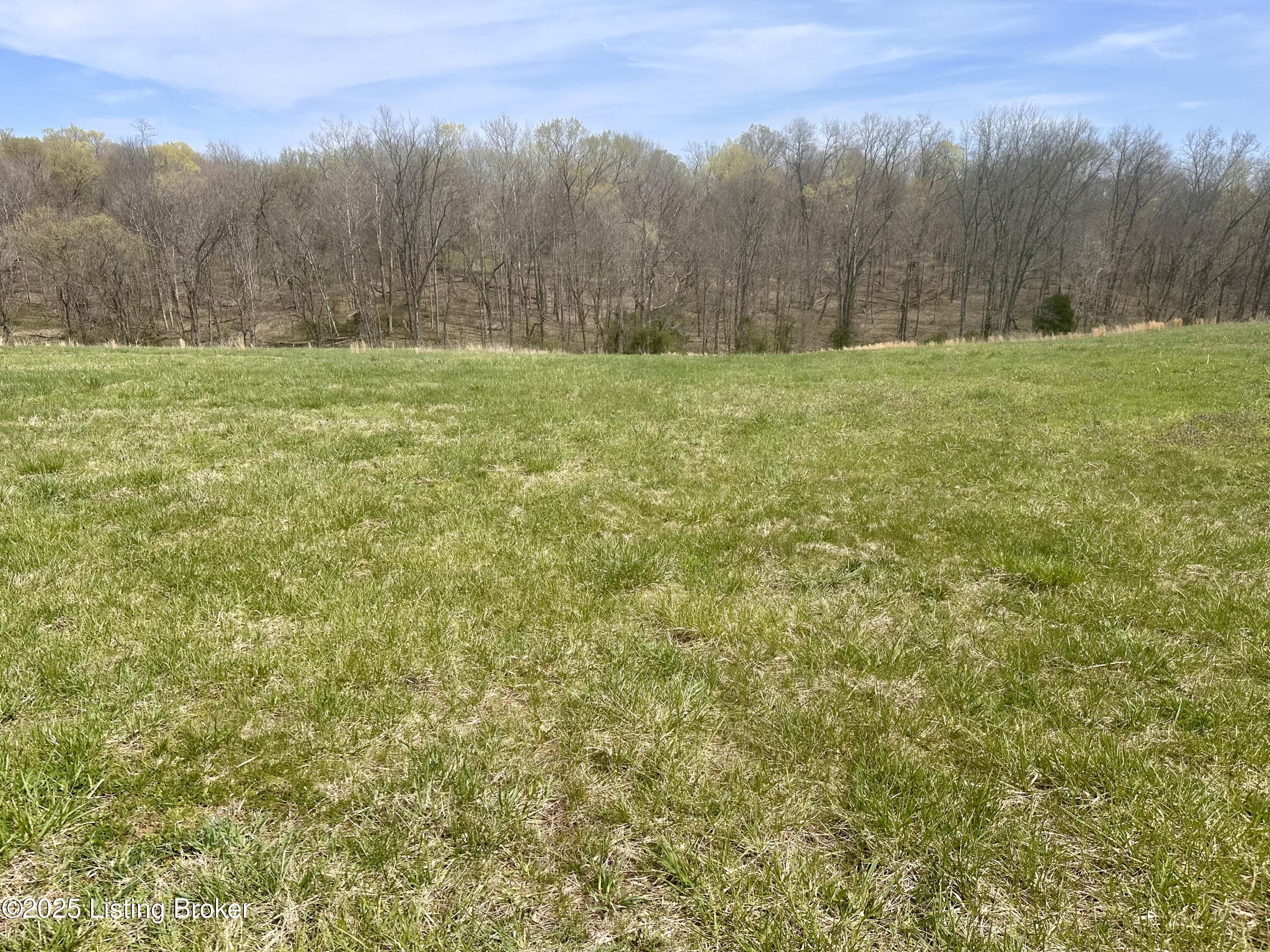 Polin Rd, Willisburg, Kentucky image 13